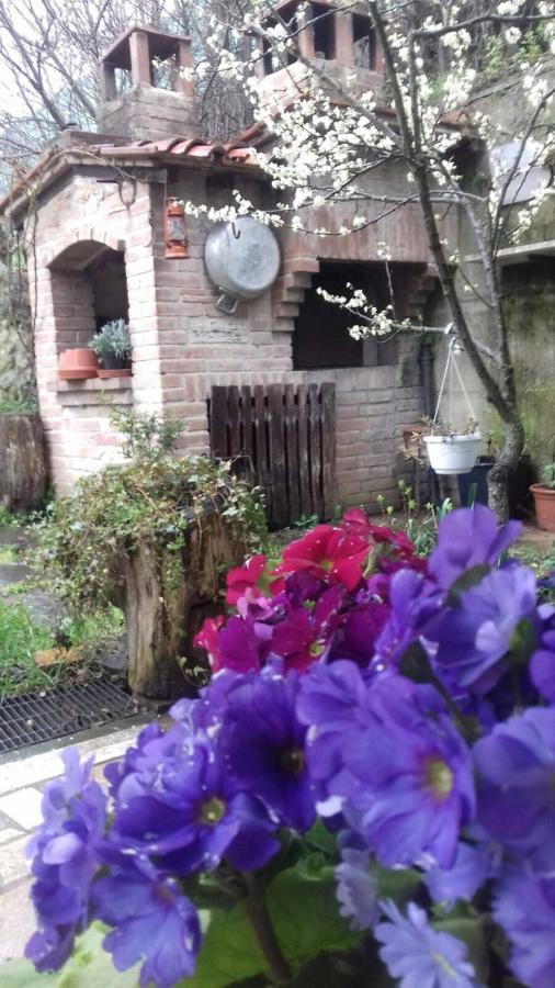 Casa Patti Alle Porte Di Сієна Екстер'єр фото