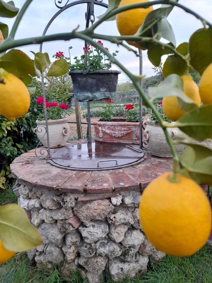 Casa Patti Alle Porte Di Сієна Екстер'єр фото