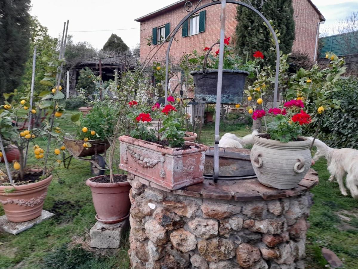 Апартаменти Casa Patti Alle Porte Di Сієна Екстер'єр фото