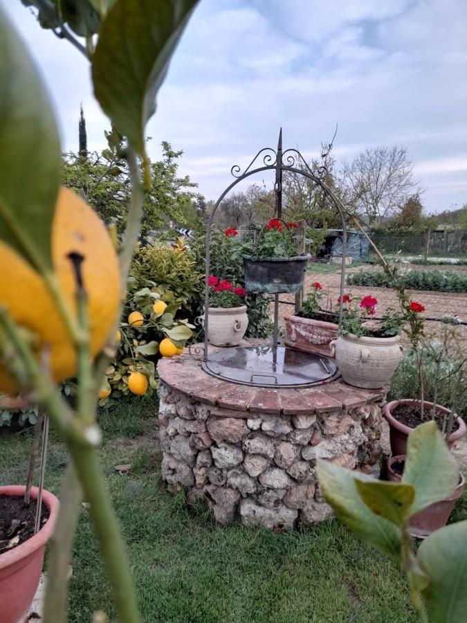 Casa Patti Alle Porte Di Сієна Екстер'єр фото