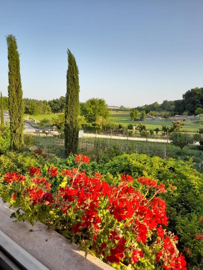 Апартаменти Casa Patti Alle Porte Di Сієна Екстер'єр фото